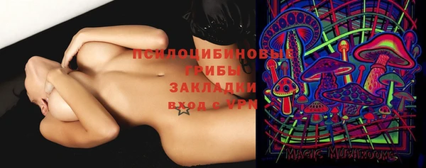 мяу мяу мука Абаза